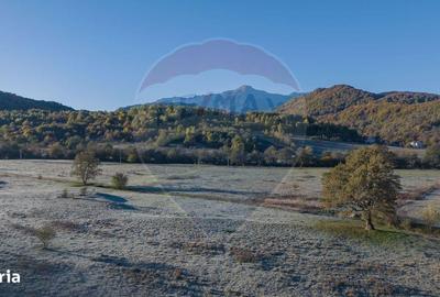 Spațiu comercial, în Cheile Râșnoavei - 4