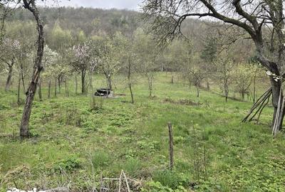 Casă cu 3 camere cu Teren 80 Mp în Lunca - 7