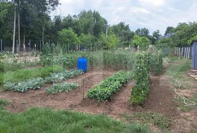 Casă cu 4 camere cu Teren 21000 Mp în Ceuaș - 9