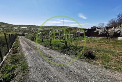 Casă individuală cu 2 camere cu Canalizare în Dealuri Oradea - 9