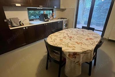 Vand vila strada Trivale, Pitesti, Arges - 7