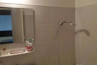 Garsonieră decomandată în Brazda lui Novac - 4