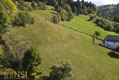 Teren intravilan de 2670 mp, în Bran - 7