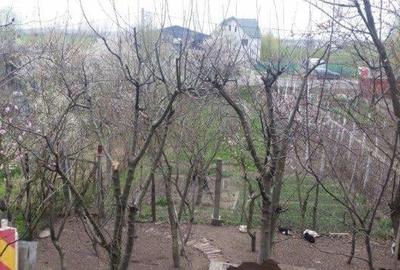 Vand casa Turnu Magurele str Grivita nr 15 - 4