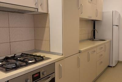 Apartament cu 2 camere semidecomandat, mobilat în Herăstrău - 12