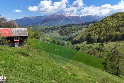 Spațiu comercial, în Drumul Carului - 2