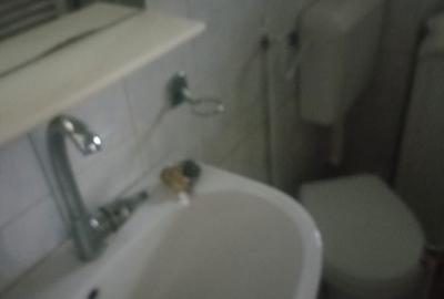 Garsonieră semidecomandată în Kiseleff - 2