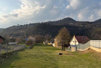Spațiu comercial, în Alexandru cel Bun - 3