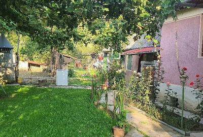 Casă cu Teren 2000 Mp în Călimănești - 4