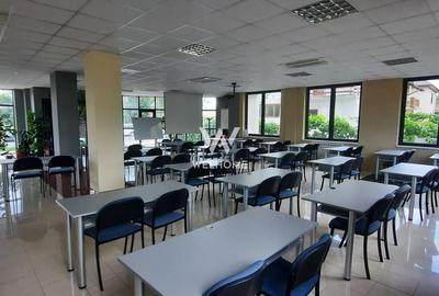 Birou, 660 mp în Calea Dumbrăvii