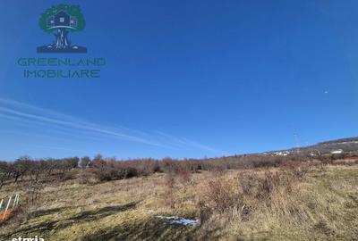 Teren de 560 mp, în Bârnova - 3