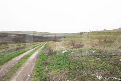 Teren în Câmpenești - 3