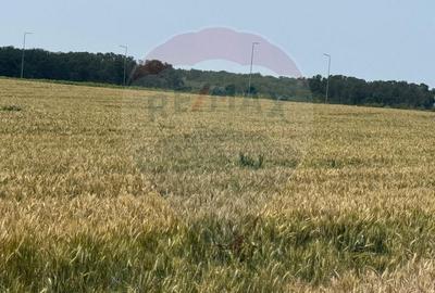 Teren ideal pentru dezvoltare mixta acces A0, Vadul Anei/ Branesti - 7