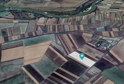 Teren Industrial in ?eitin, Jude?ul Arad Teren Industrial in ?eitin, Jude?ul Arad - 3