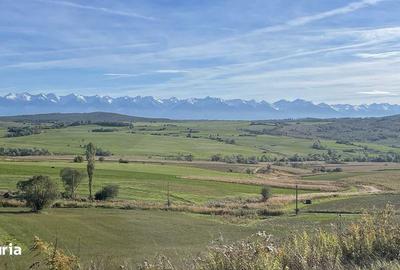 Teren de 20000 mp, în Central