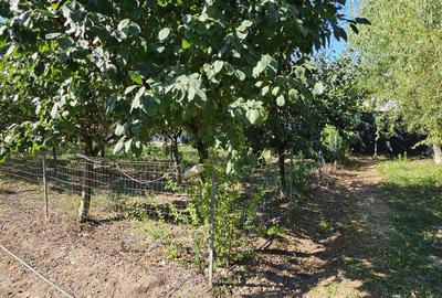 Teren de vanzare Corbeanca  Central. Teren de vanzare Corbeanca  Central. - 4