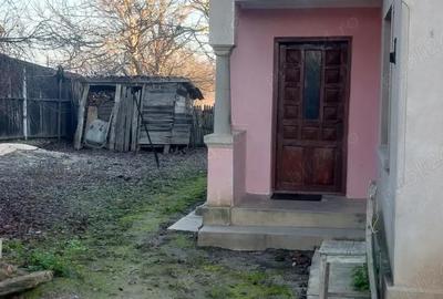 Casă în Vulpeni - 2