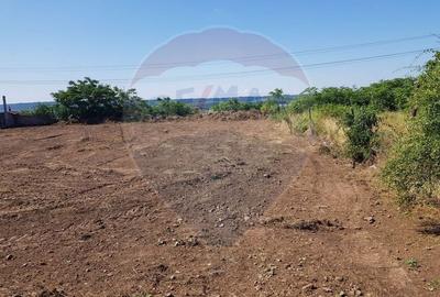 Teren de vanzare in Schela Cladovei, 1760 MP, Intravilan - 4