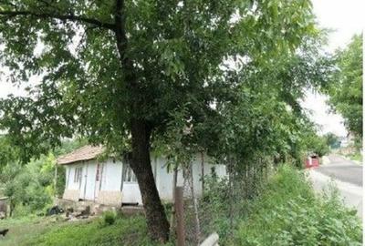 Casa si teren Costinesti, Botosani, ID: R2728052 - 25