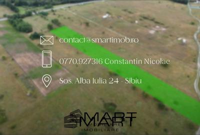 Teren intravilan 5000mp Valea Avrigului - 7