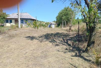 Hala pe Structura Metalica+ Casabatraneasca + 4800 m2 - 5