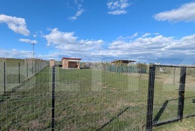 Teren de vanzare in Partos - 2