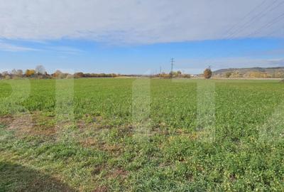 Teren in Razvad intravilan 1400mp cu acces la curent electri - 1