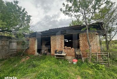 Casă cu 3 camere cu Teren 2077 Mp în Scoarța - 1