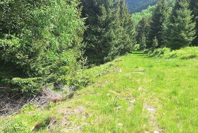 Teren de 300 mp, în Râu de Mori - 3