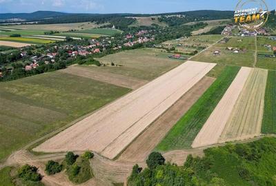 Teren agricol extravilan de 7000 mp, în Sâncraiu