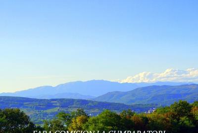 BUDESTI, TEREN 1000 MP, PRIVELISTE MINUNATA - 17