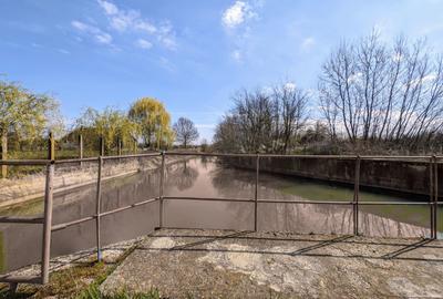 Teren intravilan Balint 22.500 mp - 8