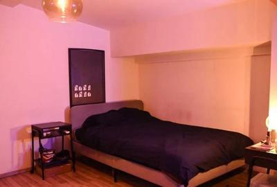 Garsonieră decomandată, mobilată în Ozana - 7