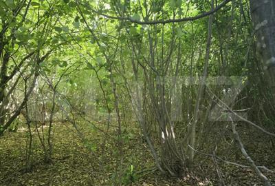 Teren de 524 mp, în Făget - 4