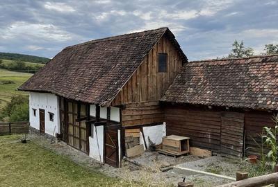 Casă cu 3 camere în Cându - 6