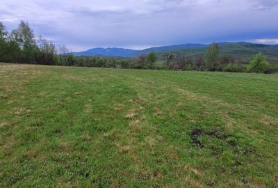 Casă cu 2 camere în Vânători - 4