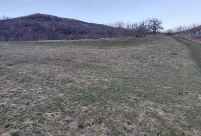 Teren de 4090 mp, în Cozia - 1