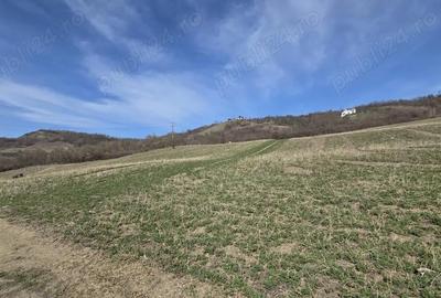 Teren de 600 mp, în Central - 3