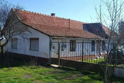Casă cu 3 camere cu Teren 1960 Mp în Central - 7