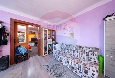 2 case cu curte proprie - locatie centrala - 9