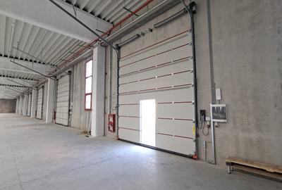 Hala beton 3000 mp, ideal fabrica, 10 Porti TIR, dedicat 400 kw Hala beton 3000 mp, ideal fabrica, 10 Porti TIR, dedicat 400 kw - 5