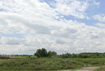 Teren intravilan 25 000 mp - Titu Nou - 3