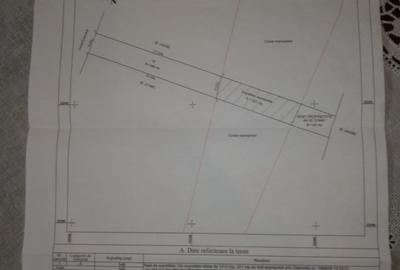 Iuliu Hațeganu Pasaj Nicolae Grigorescu - 3