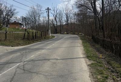 Teren Construcții intravilan de 2100 mp, în Provița de Jos - 9