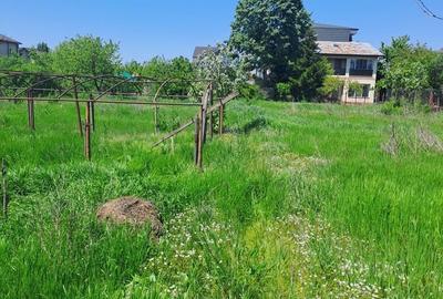 Casă cu 4 camere în Central - 5