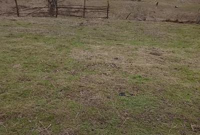 Casă cu 2 camere în Central - 4