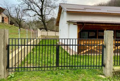 Casa de vanzare in comuna Stoenesti - 8