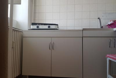 Inchiriere garsoniera metrou Dristor, etaj intermediar, 270 euro - 12