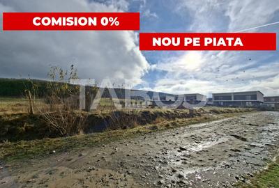 Teren intravilan de vanzare in Rasinari zona Calinis - 890 mp - 2