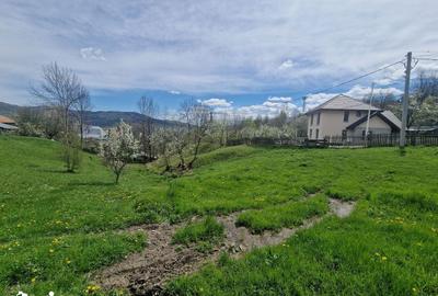 Teren de 3500 mp, în Ghioșești - 9